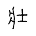 壯 壯