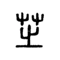 𦭩 𦭩