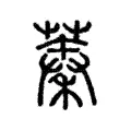 蓁 蓁