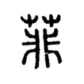 菲 菲
