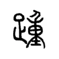 踵 踵