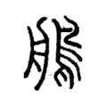 鵃 鵃