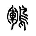 鶤 鶤