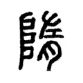 隋 隋