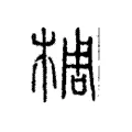 椆 椆
