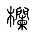 楝 楝