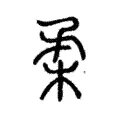 柔 柔