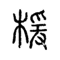 楥 楥