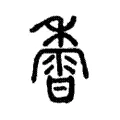 𪏽 𪏽