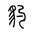 豹 豹