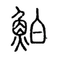 鮊 鮊