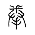 拳 拳