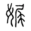 娓 娓