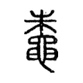 蛛 蛛