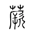 蕨 蕨
