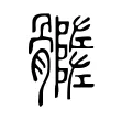 𩪦 𩪦