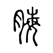 脢 脢
