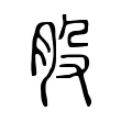 股 股
