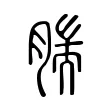腨 腨
