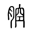 腔 腔
