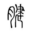 腱
