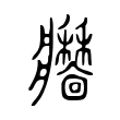 𤖣 𤖣