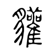 貛