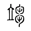 𥪥