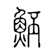 魾 魾
