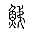 鮷