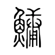 鱅 鱅