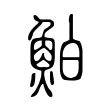 鮊 鮊