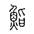 鮨 鮨