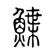 鰈 鰈