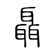 聶 聶