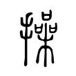 操