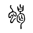 蝎 蝎