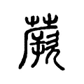 蕨 蕨