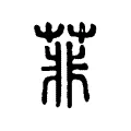 菲 菲