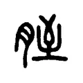 胵 胵
