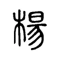 楊 楊