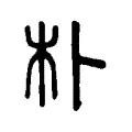 朴 朴