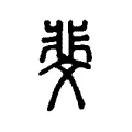 斐 斐