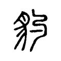 豹 豹