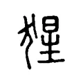 猩 猩