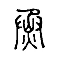 烝