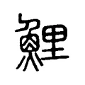 鯉 鯉