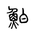 鮊 鮊