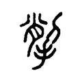 揱 揱