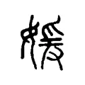 媛 媛